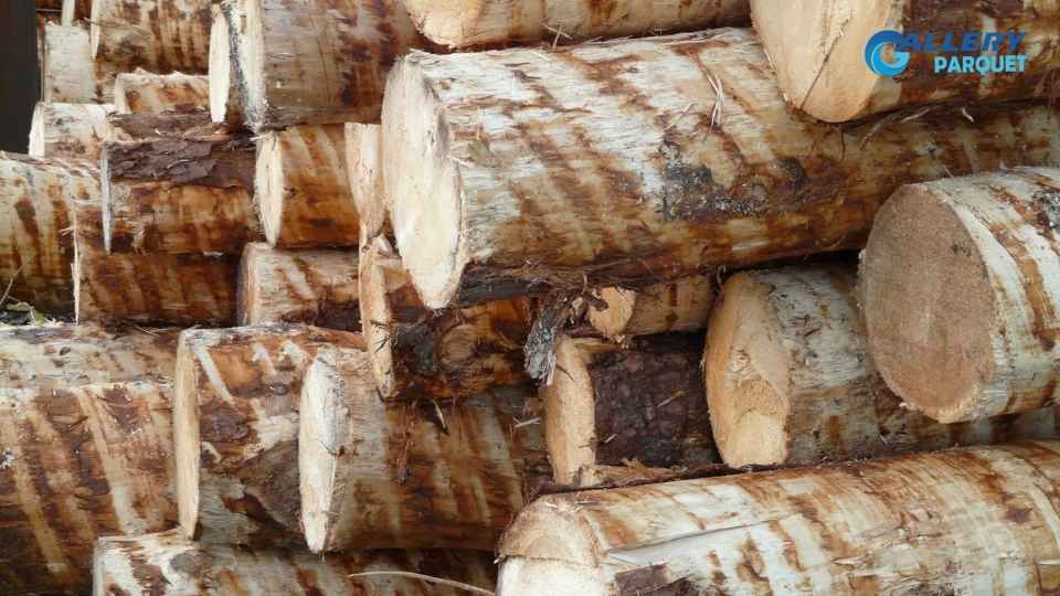 manfaat batang pohon kelapa