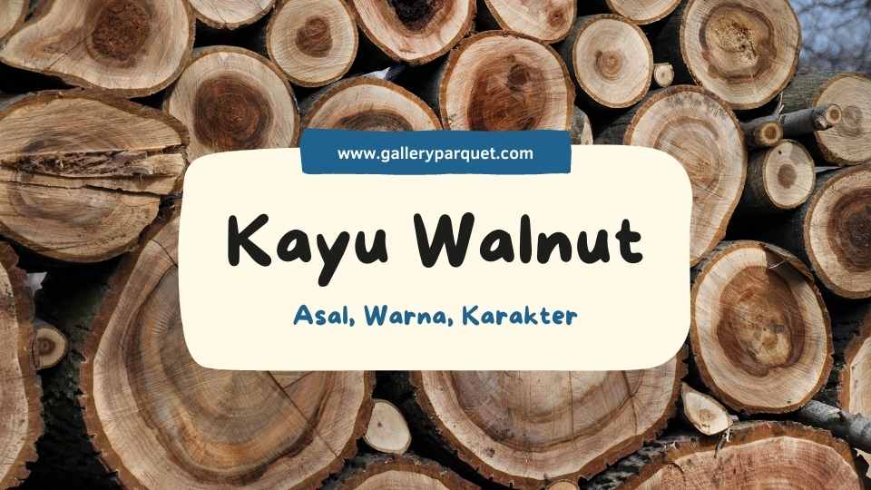 Kayu Walnut