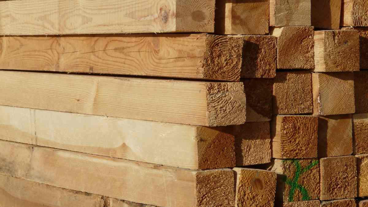 Karakteristik kayu Bengkirai