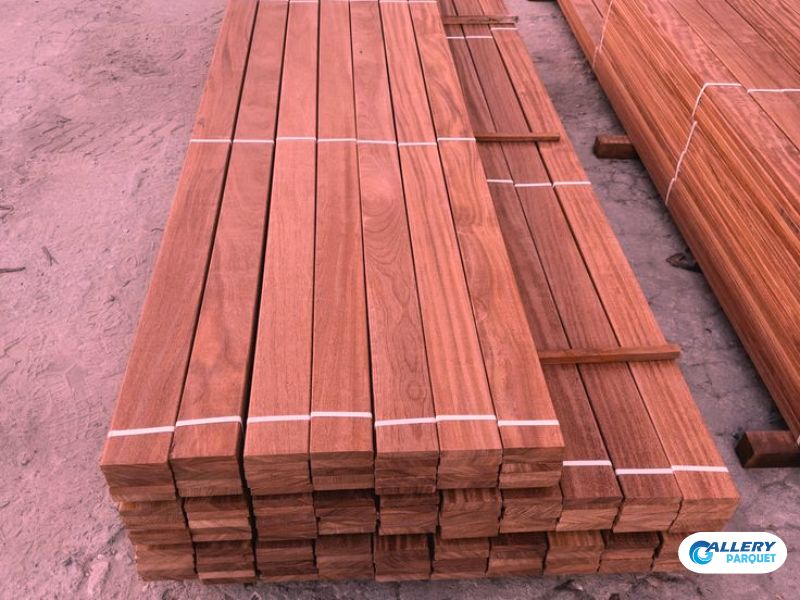 Kayu Nyatoh