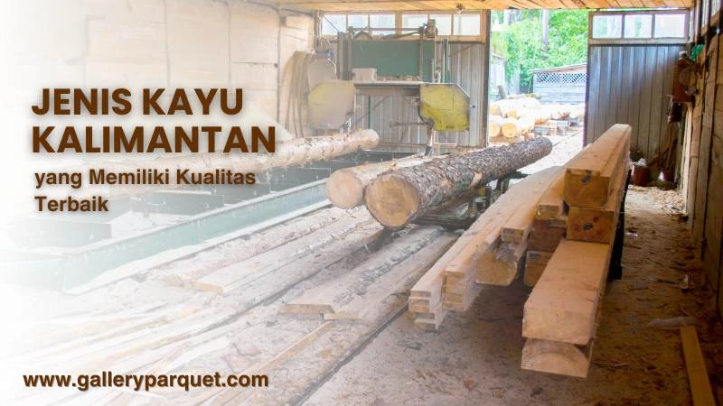 jenis kayu kalimantan