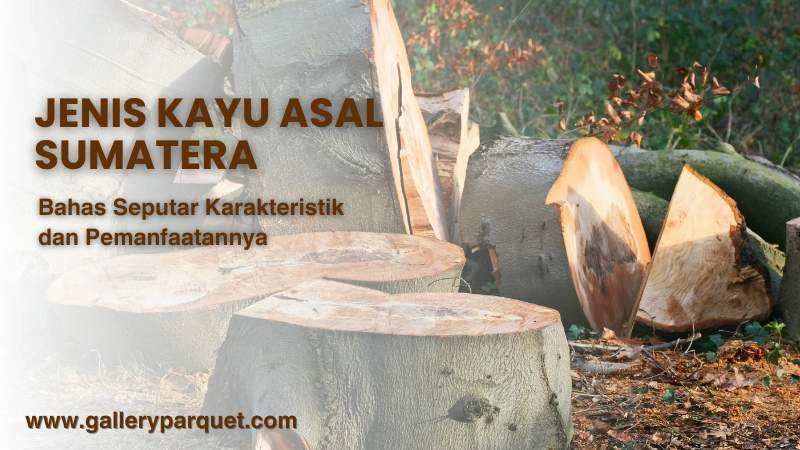 jenis kayu sumatera