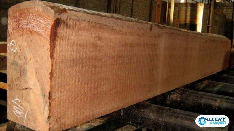 kayu keruing