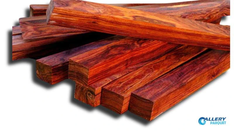 kayu rengas